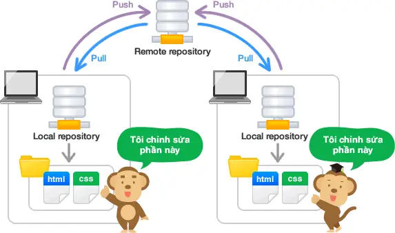 Remote repositories and local repositories 