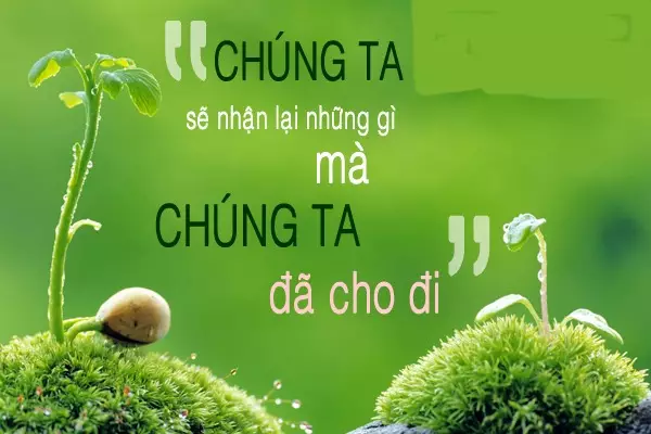 lo trinh hoc tieng anh cho tre moi bat dau